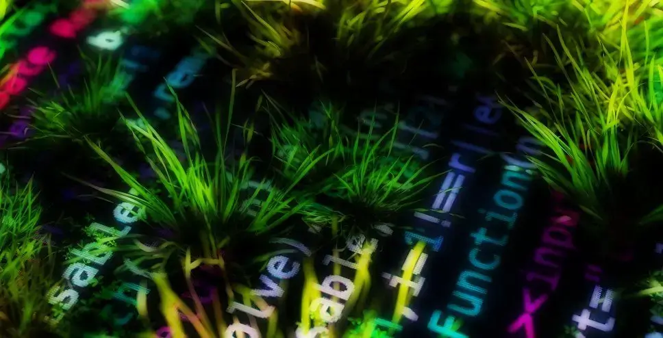 Des touffes d'herbe poussent entre les lignes de code